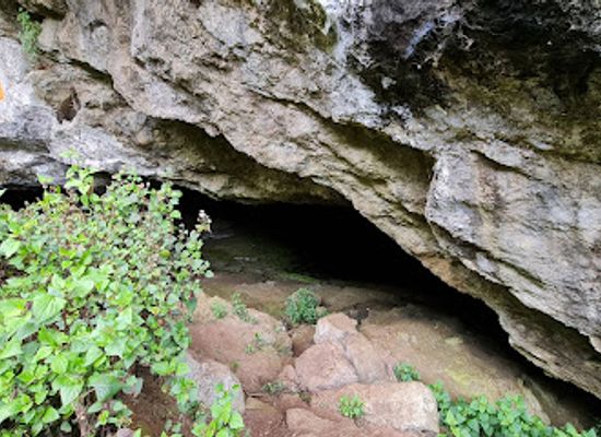 kenya/pokot-region/landmark/kitum-caves