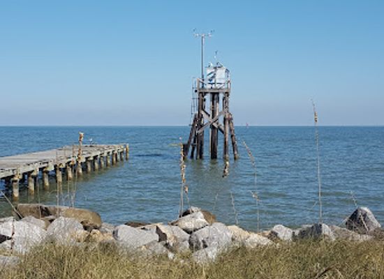 alabama/alabama-coastal-birding-trail/landmark/alabama-aquarium-at-the-dauphin-island-sea-lab