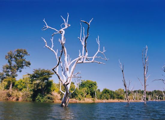 zimbabwe/zambezi-valley/landmark/matusadona-national-park