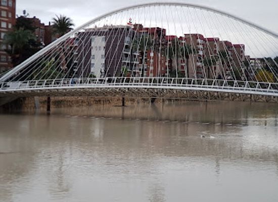 spain/murcia/landmark/fica-murcia