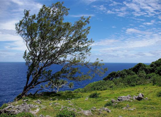 tonga/foa/landmark/eua-national-park