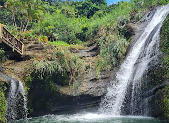 grenada/seven-sisters-falls/landmark/annandale-waterfall-forest-park