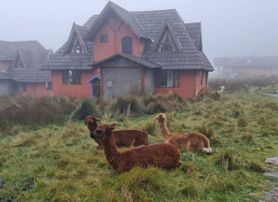 ecuador/chimborazo-region/landmark/chimborazo-lodge