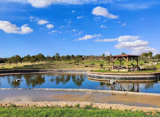 morocco/oujda/landmark/parc-ecologique-d-oujda
