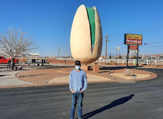 new-mexico/white-sands/landmark/mcginn-s-pistachioland-home-of-the-world-s-largest-pistachio
