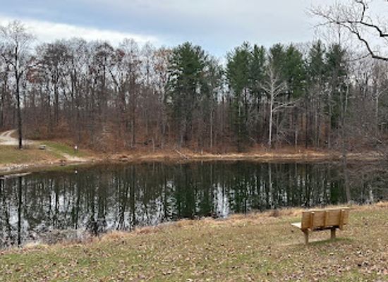 indiana/morgan-monroe-state-forest/landmark/morgan-monroe-state-forest-entrance