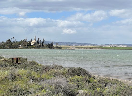 cyprus/larnaca-salt-lake/landmark/flamingo-observatory-spot