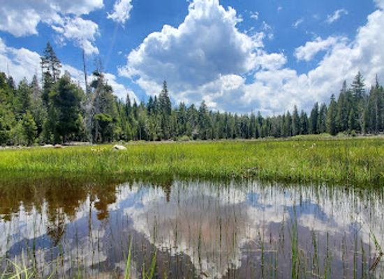 california/gold-country/landmark/paige-meadows-parking