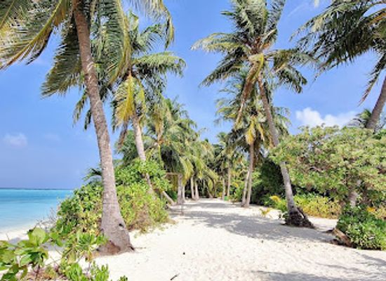 maldives/thoddoo-island/landmark/thoddoo-tour