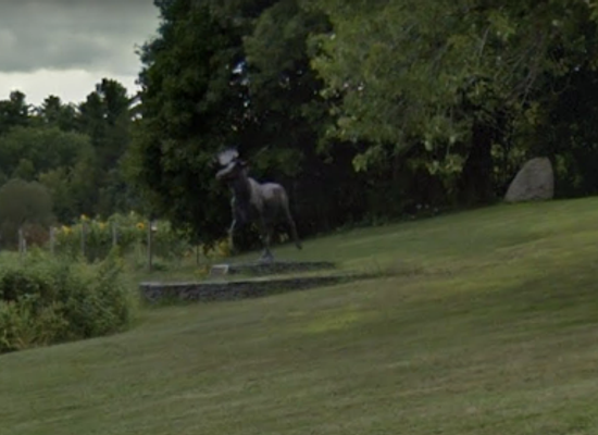 maine/augusta/landmark/the-moose-at-uma