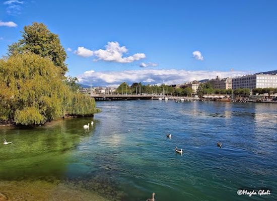switzerland/geneva/landmark/ile-rousseau