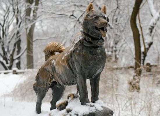 connecticut/greenwich/landmark/balto-statue