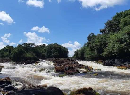 suriname/sipaliwini-district/landmark/wannawiro-nature-park