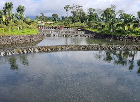 equatorial-guinea/bioko-island/landmark/parque-nacional-de-malabo