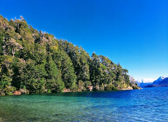 argentina/villa-la-angostura/landmark/villa-la-angostura-en-videos-mejores-imagenes-de-visitantes-y-residentes