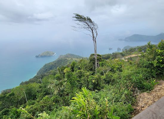 trinidad-and-tobago/edith-falls/landmark/la-vigie-paramin-lookout