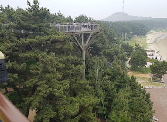south-korea/south-chungcheong-province/landmark/janghang-skywalk