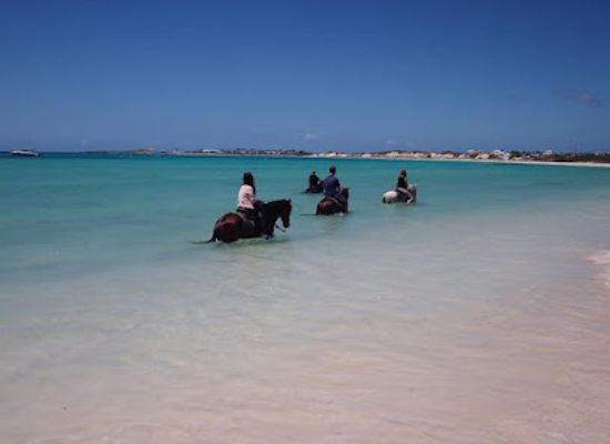 anguilla/long-bay-village/landmark/cova-bay-horse-riding-route