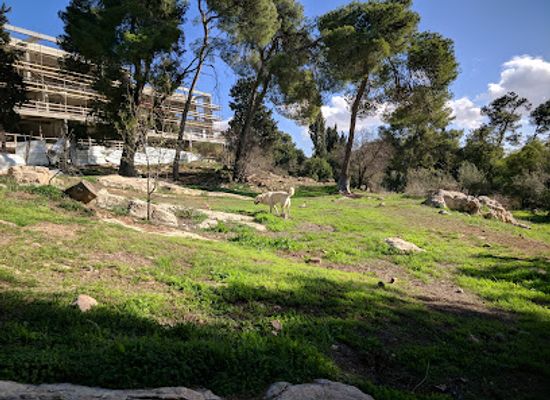 israel/jerusalem/landmark/moon-grove