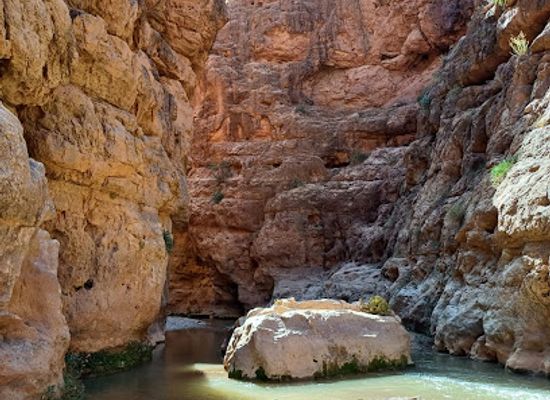 morocco/dades-valley/landmark/dades-valley-activities