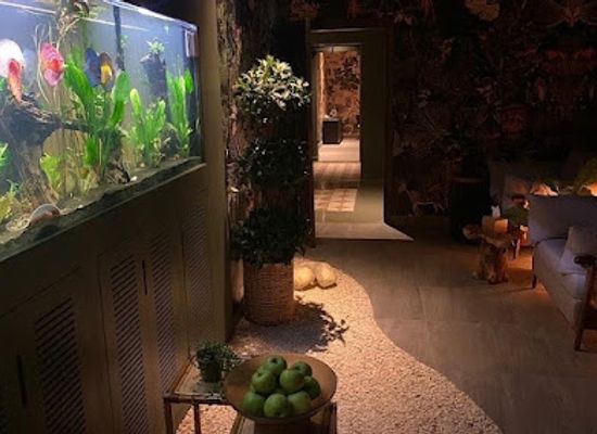 kuwait/hawalli-governorate/landmark/rainforest-men-s-spa