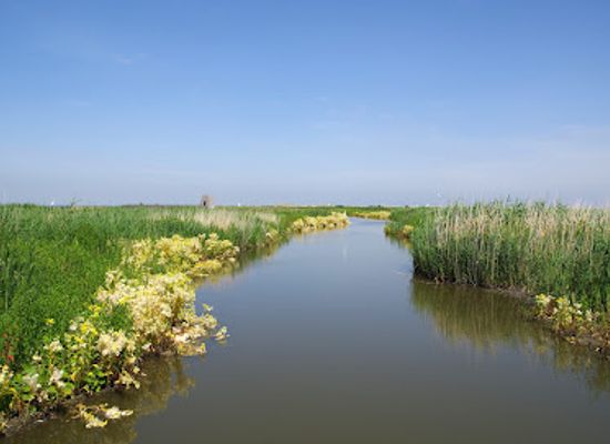 netherlands/ijsselmeer-polders/landmark/marker-wadden