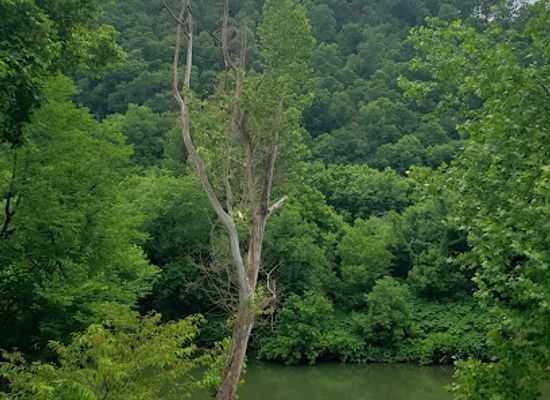west-virginia/hatfield-mccoy-mountains/landmark/hatfield-mccoy-historical-marker
