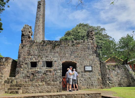 saint-kitts-and-nevis/newcastle/landmark/sky-safari-zipline