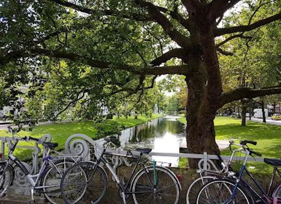 netherlands/south-holland/landmark/witte-de-withbrug