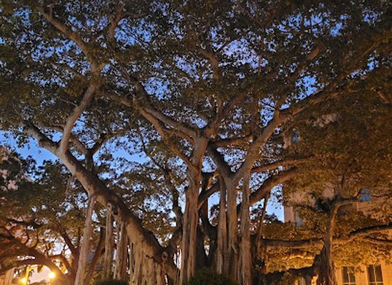 florida/fort-myers/landmark/true-tours