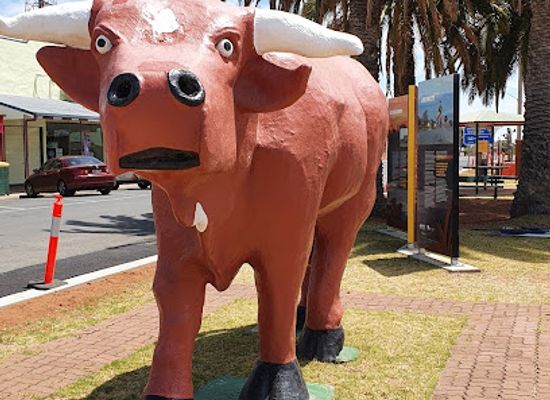 australia/mallee/landmark/big-mallee-bull-statue