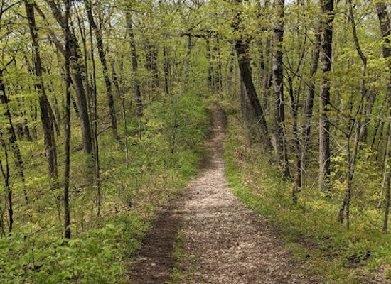 wisconsin/kettle-moraine/landmark/ice-age-trail-milwaukee-river-segment