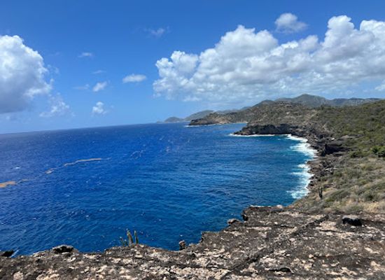 antigua-and-barbuda/nelson-s-dockyard/landmark/carpenter-rock-trail-antigua