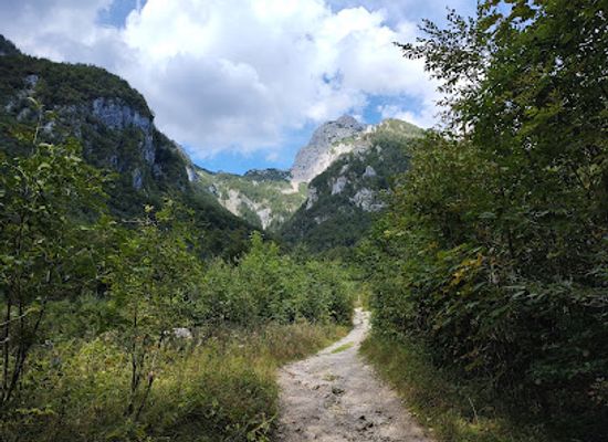 slovenia/upper-carniola/landmark/slap-orglice