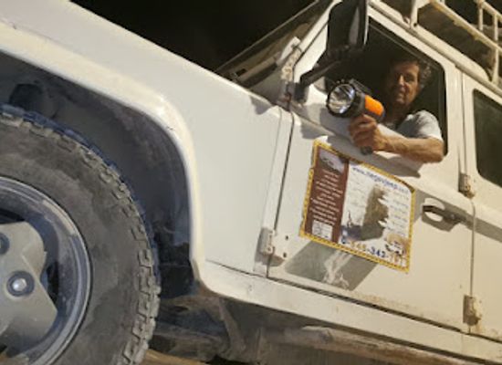 israel/negev/landmark/negev-safari