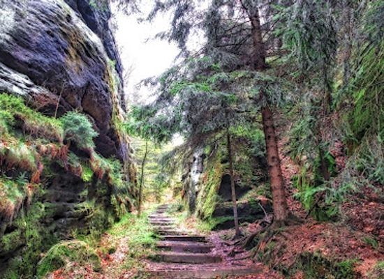 germany/saxon-switzerland-national-park/landmark/rubezahl-s-steps
