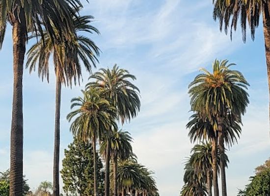 california/los-angeles-county/landmark/wilton-historic-district