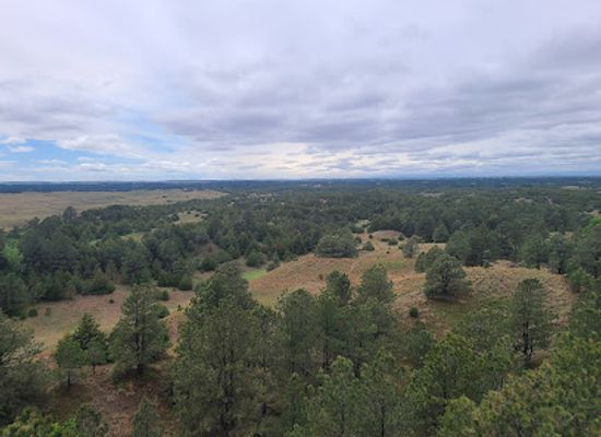 nebraska/nebraska-national-forest/landmark/nebraska-national-forest-bessey-ranger-district