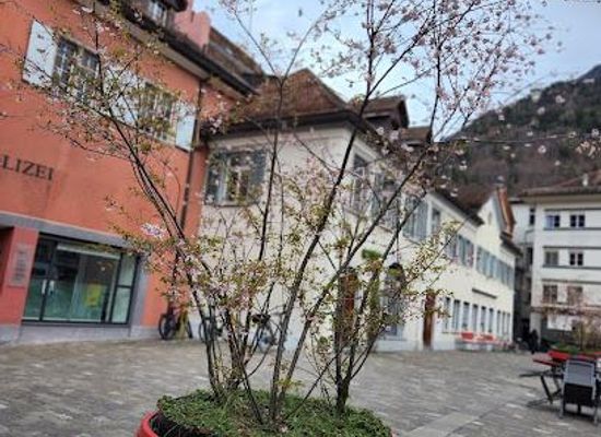 liechtenstein/schaan/landmark/kornplatz
