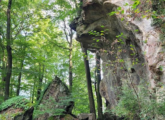 luxembourg/mullerthal/landmark/der-verkehrte-fuss