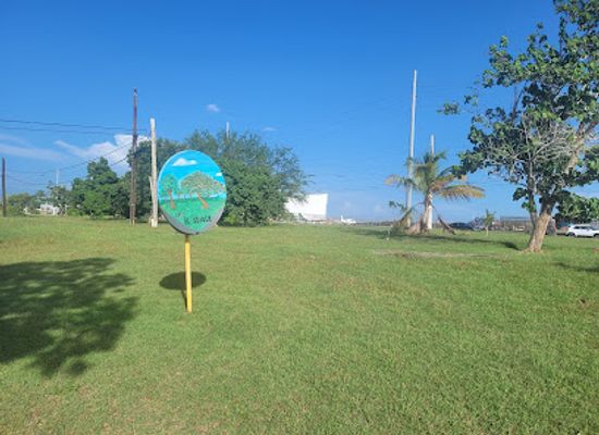 puerto-rico/aguadilla/landmark/area-del-bosque
