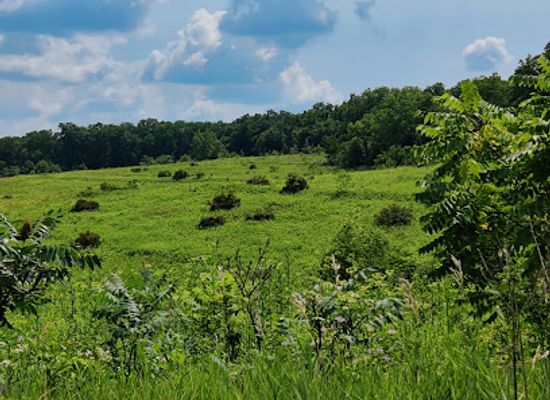wisconsin/blue-hills/landmark/new-glarus-woods-state-park