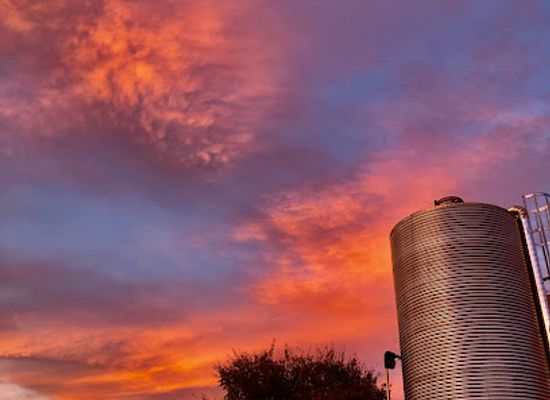 arizona/chandler/landmark/pedal-haus-brewery
