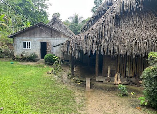 belize/toledo-district/landmark/toledo-eco-tourism-association-tea