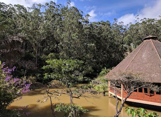 madagascar/amoron-i-mania/landmark/andasibe-mantadia-national-park