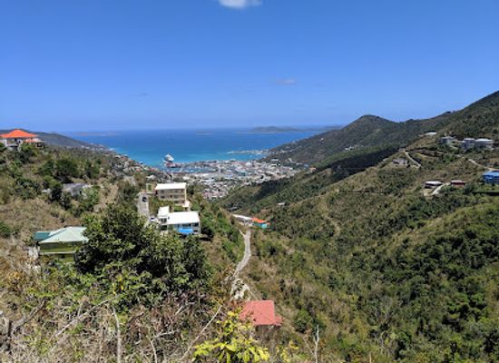 british-virgin-islands/jost-van-dyke/landmark/j-r-o-neal-botanical-gardens