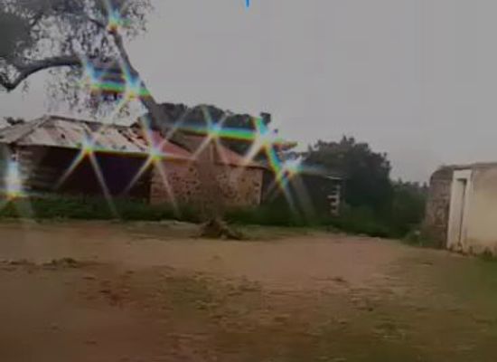 eritrea/adi-quala/landmark/adi-quala-bus-station