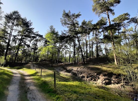 netherlands/utrechtse-heuvelrug/landmark/bornia-utrechtslandschap