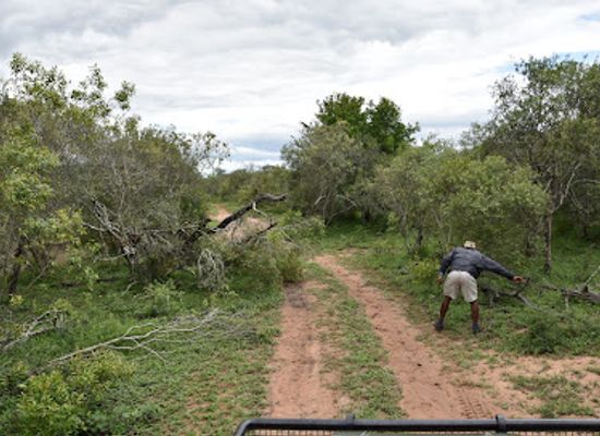 eswatini/malolotja-nature-reserve/landmark/mkhaya-game-reserve