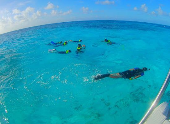 florida/key-largo/landmark/snorkel-the-keys